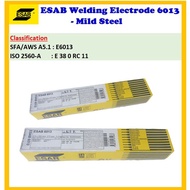 ESAB Welding Electrode 6013 - Mild Steel -- E6013