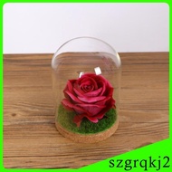 [Szgrqkj2] Glass Cloche Dome Jar Dollhouse Terrarium with S