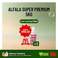 (Wholesale) Timothy Hay Alfalfa Hay for Rabbits Guinea Pigs & Chinchillas (5kg/10kg/20kg) [Free 30ml