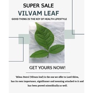 FRESH VILVAM LEAVES /BAEL LEAVES