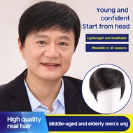 Realistic wig for middleaged men