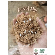 Premium Aroid Mix Soil 100/500g | Cocopeat + Coco Fiber + Perlite | Tanah Aroid Sedia Guna