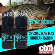 ESSEN INSTINCT STRIKE HITAM KHUSUS IKAN MAS BABON INDUKAN GALATAMA