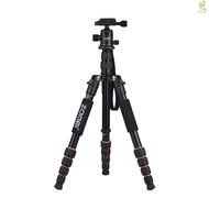 ZOMEI Q666 59inch Compact Travel Portable Aluminum Alloy Camera Tripod Monopod with Ball Head/ Quick Release Plate/ Carry Bag for DSLR Camera  Came-022