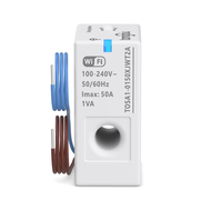 Tuya Smart WiFi Energy Meter – 1-50A การตรวจสอบพลังงานและพลังงานแบบเรียลไทม์ เข้ากันได้กับ Home Assi