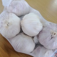 Bawang Putih 1 Guni Kecil