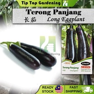 K62 LONG EGGPLANT JC GARDEN VEGETABLE SEED BIJI BENIH TERONG PANJANG