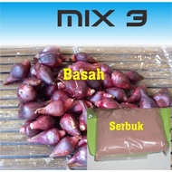 Bawang Dayak Basah dan Serbuk