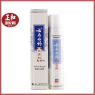 Yunnan Baiyao Aerosol Spray 85g 云南白药气雾剂