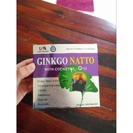 Ginkgo Natto with coenzyme q10 Active Blood Nourishment