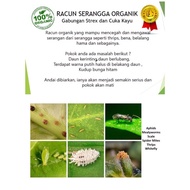 Organic Pesticide/Racun Serangga Perosak Organik