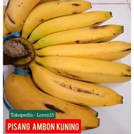 Pisang Ambon Sukabumi TERBARU