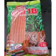 STOK TERBATAS !!!! BENIH JAGUNG HIBRIDA BISI 18 ISI 1KG JAGUNG BISI18