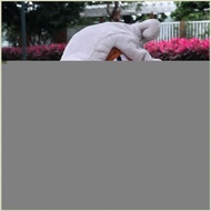 XS1 18cm Pokemon Center Pocket Monsters Mask Cubone 6.5" Plush Toy Kids Toys Birthday Gifts XS1