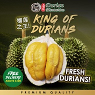 400G Durian Sale 🔥 榴莲之王 MSW / TSW / Black Gold / Red Prawn / More than 8 Types of Durian to choose from