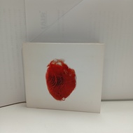 F184-26 CD+DVD TERPAKAI. [AKRON / FAMILY - LOVE IS SIMPLE] USED CD+DVD. F184-26