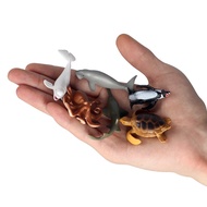 、‘、。； 6Pc Marine Animals Dolphin Rays Whale Shark Model Action Figures Aquarium Fish Miniature Figurines Educational Toys For Children