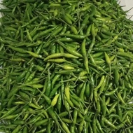 RYN131- CABE RAWIT IJO VARIETAS PELITA 1KG