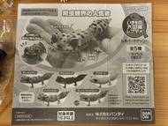 守宮 壁虎 扭蛋