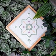 花磚吸水杯墊 // 大地綠 // 安心出貨SOP