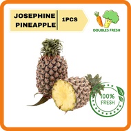 Josephine  Pineapple 水晶黄莉 1Pcs Coverage in KL and Selangor Areas