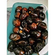 Algerian Ajwa Dates

Buah Kurma ajwa dari algeria