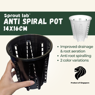 Sprout lab | Anti Spiral Plant Pot | Black &amp; Clear | for Aroids and Orchids | High Drainage and Aeration for healthy root development