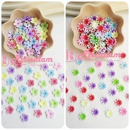 WHOLESALE MINI RAINBOW PETALS | Pound Pound