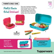 Oyster set exactly image