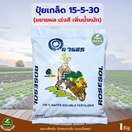 ปุ๋ย 15-5-30 ปุ๋ยเกล็ด โรส ROSES ขยายผล ปุ๋ยเร่งสี บรรจุ 1 กิโลกรัม