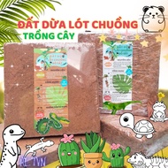 Coconut Humus Soil for Reptile Cages Tablets, Coconut Humus Puree Amphibians Insects Isopod Python S