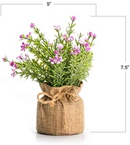 Artificial Babys Breath Flowers With Small Bag Vases Faux Flowers Farmhouse Home Coffee Table Bookshelf Office Desk Decorations Kitchen Dining Room Fake Plants Indoor