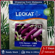 Paket 10g (2000 Biji) LITTLE NYONYA 313 Cap Leckat Seed Biji Benih Terung Mini F1 Hybrid Mini Purple