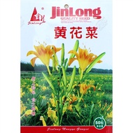 Yellow Cauliflower Seeds Seed Vegetables Golden Needle Vegetable Seeds Vegetable Seeds Vegetable See