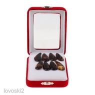 [lovoskiacMY] 8pcs/Pack Gu Zheng Nails Chinese Zither Finger Picks for Guzheng