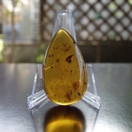 天然緬甸琥珀 蟲珀 6.26克 Amber 水滴型 金珀 原石 琥珀 白堊紀