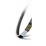 Michelin Belt Fighting One-Third Generation (5ML/5TY/4C6)