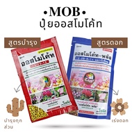 MOB ปุ๋ยออสโมโค้ท 13-13-13 100 กรัม สูตรบำรุงต้น  ปุ๋ยละลายช้า 16-16-16  แบ่งบรรจุ ปุ๋ยแคคตัส มัลติเทค ปุ๋ยกล้วยไม้