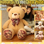 (Ready Stock) 160cm Pink teddy bear for girls big teddy bear human size teddy bear 5ft teddy bear st