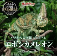 [魂SHOP限定] 生物大圖鑑 高冠變色龍