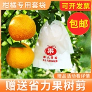 Citrus Special Bagging Orange Ugly Orange Orange Rake Orange Don't Know Mango Umbilical Orange Pomeg