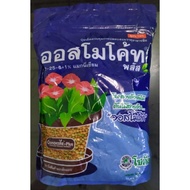 Osmocote 12-25-6 (Osmocote 12-25-6) Thailand 1 kg