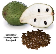 Guyabano Seeds/Soursop Seeds for Planting(5seeds per pack)