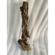 Khúc gỗ lũa ghép lan trang trí bể cá thủy sinh