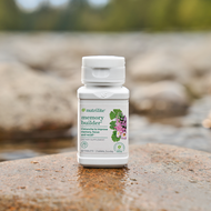 Nutrilite™ Memory Builder™ Supplement