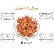 Deglet Nour Kurma Tangkai Segar 400g  Fresh & Natural Dates from Tunisia & Algeria