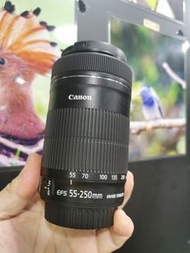 Canon 55-250mm  STM  第三代