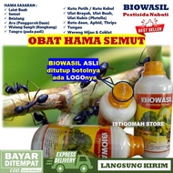 Obat Semprot Pembasmi Hama SEMUT pada Tanaman BIOWASIL isi 500ML Pestisida Nabati Mampu Mengusir Sem