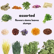 🇸🇬 Flowers/Herbs/Leaves/Stems/Fruits Hamster Guinea Pig Rabbit Treats Forage Chews Dandelion Leaves 