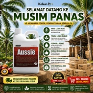 [LOCAL SELLER] Aussie 500ml - Penggalak Akar & Besarkan Buah Sawit - Basmi Jamur Ganoderm